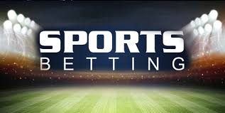 Ardi Bet Your Ultimate Betting Destination
